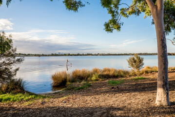 Paddleboarder on Canning River with Perth skyline at golden hour from riverbank, Perth, Australia, 16 March 2021