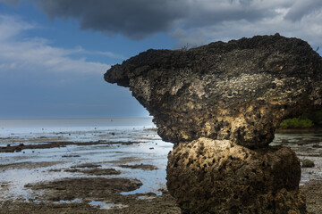 The ocean waves crashing against the shore have caused this hard rock cliff to erode into small holes, as if someone had carved it © HeinrichDengi
