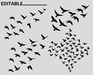 Minimalist black text displaying vector file on a solid white background for design projects