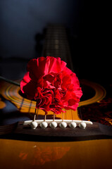Closeup of Beautiful Red Carnation Flower on Top of Brown Accoustic Guitar
