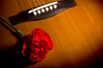 Beautiful Red Carnation Flower on Top of Brown Accoustic Guitar