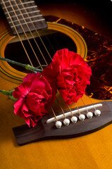 Beautiful Red Carnation Flower on Top of Brown Accoustic Guitar