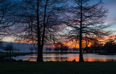 Evening Glow over the Pond