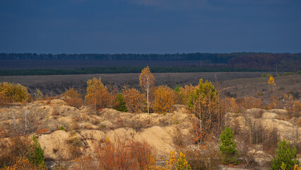 Autumn deciduous forest on a sandy hilly terrain.