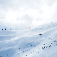 Snowy landscape with small trees on rolling hills under cloudy sky