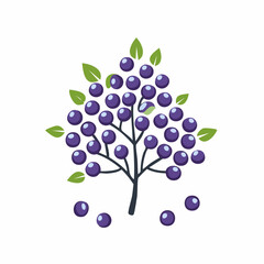 Elegant Elderberry Illustration: An artistic illustration features a cluster of ripe elderberries, showcasing their deep purple hue, against a backdrop of fresh green leaves.
