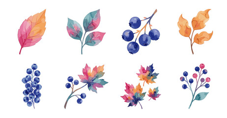 Obraz premium Watercolor Autumn Leaf and Berry Collection, Vector Illustration