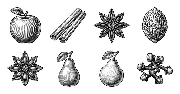 Vintage engraving style collection of autumn fruits and aromatic spices featuring apples pears cinnamon and star anise.