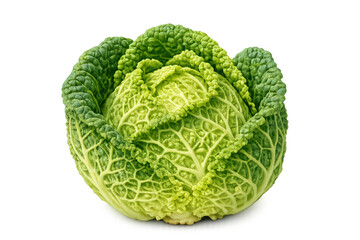 Fototapeta premium Fresh organic savoy cabbage showing textured green leaves, a healthy raw vegetable for cooking and diet, transparent background