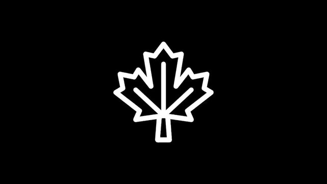 Simple white maple leaf icon on a black background, representing Canada