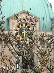 Fr&uuml;hling im Stadtpark von Hannover
