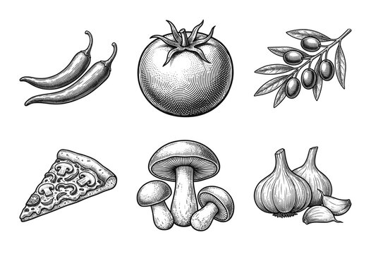 Vintage woodcut illustration set of pizza ingredients featuring tomato, olives, chili peppers, garlic, mushrooms, and a pizza slice in an engraved drawing style.