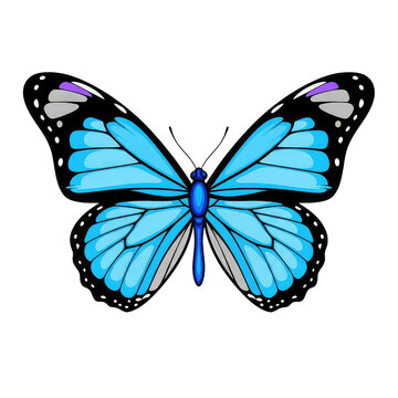 Beautiful Blue Monarch Butterfly Illustration, transparent cut-out image
