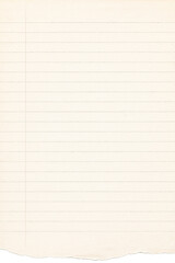 Naklejka premium Clean lined paper notebook background with soft beige tone. Ideal for education design, planner template, school branding, journaling layout and stationery mockups.