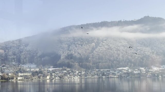 Traunsee lake with Traunstein with seagulls in winter