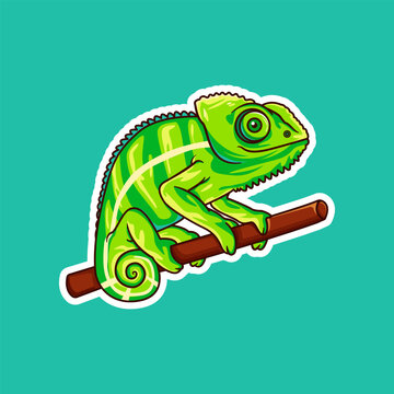 Cute Green Chameleon Cartoon Illustration on Branch. Chameleon vector clip art
