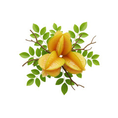 Floating Star Fruit Cluster, isolated on a transparent background