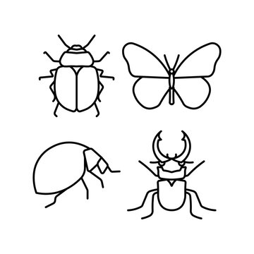 Insect Outline Icon Set. Beetle, Butterfly, Bug Line Art Vector