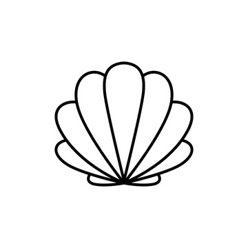 Seashell Line Art Icon Simple Ocean Shell Outline Illustration