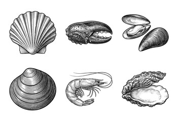 Vintage engraving style seafood collection featuring scallop, lobster claw, mussels, clam, shrimp, and oyster in black and white line art.