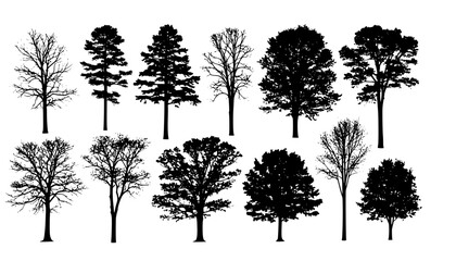 Fototapeta premium various deciduous trees silhouettes on the white background. vector set. PNG white background
