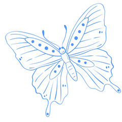 Vintage Butterfly Line Art Illustration in Blue Cottage Style