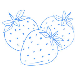 Vintage Strawberries Line Art Illustration in Blue Cottage Style
