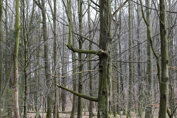 view of the landscape in the Czech Republic