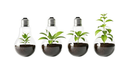 Four-stage plant growth inside transparent light bulbs showing environmental sustainability concepts isolated on a transparent background