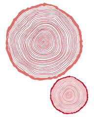 Tree Rings Illustration