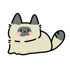 Beautiful Siamese Cat