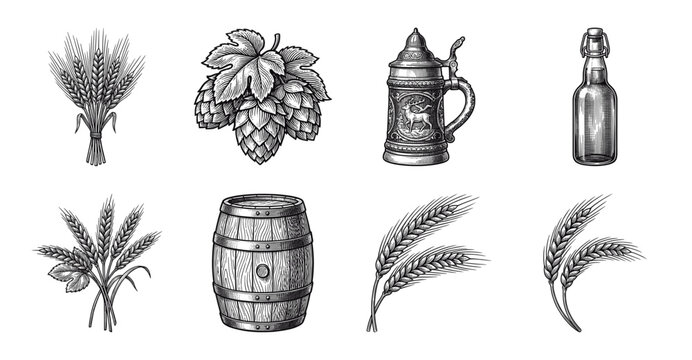 Vintage brewery collection featuring hand drawn engraving style illustrations of wheat stalks hops beer stein wooden barrel and glass bottle.