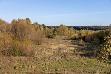 Obraz premium autumn landscape with deciduous trees with yellow and orange foliage during leaf fall at sunset, beautiful autumn with different types of trees during sunset, calm weather without wind