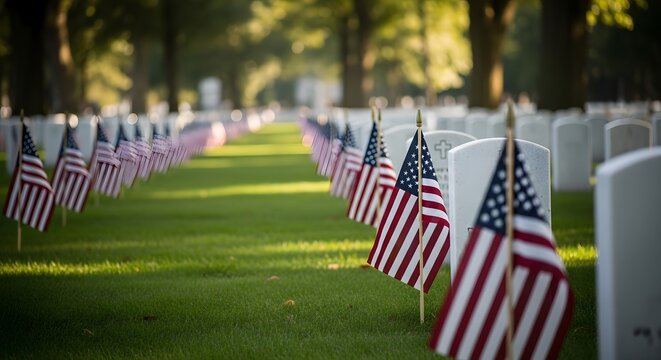 American flags marking graves in a national cemetery on a sunny day