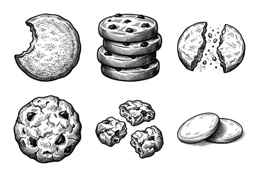 A collection of chocolate chip cookie illustrations in a vintage hand-drawn woodcut and engraved style featuring whole, broken, and stacked biscuits.