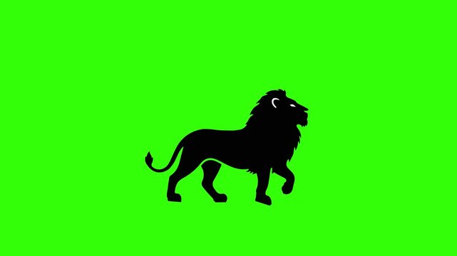 Lion Icon Silhouette on Green Screen Background