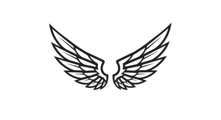 Obraz premium Detailed Outline of a Pair of Elegant Bird Wings, Symbol of Freedom and Flight, isolated white background