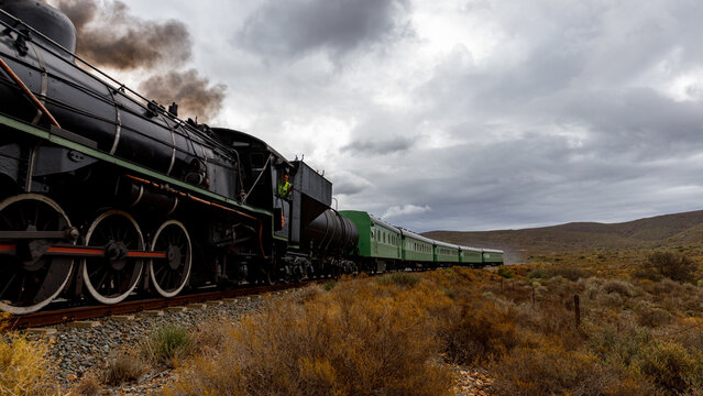 View of a vintage black steam train billowing smoke as it snakes through the golden brush under a dramatic sky, Robertson, Western Cape, South Africa.