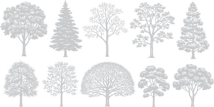 Collection of Ten Different Tree Illustrations in White and Gray Tones.