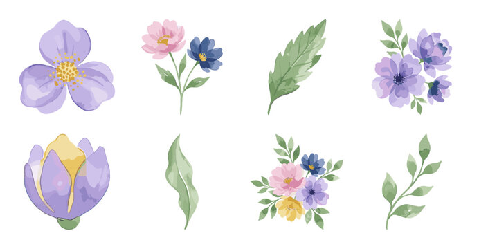 Watercolor Floral Elements Set with Purple and Pink Flowers