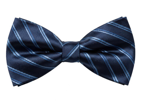 Elegant navy blue striped bow tie isolated on white background