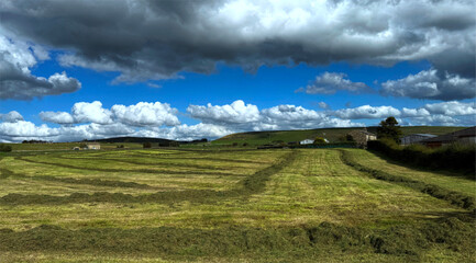 Fototapeta premium “A serene landscape shows a vast green field lined with rows of hay beneath a breathtaking sky. Dramatic clouds sweep across the countryside near Keighley, Yorkshire, UK.”