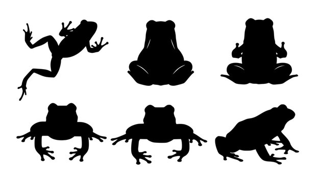 frog silhouettes
