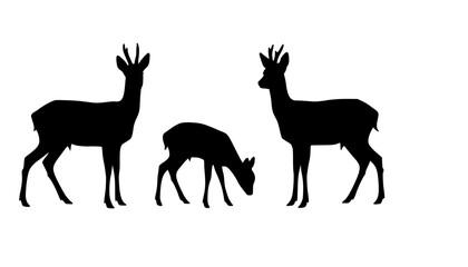 roe deer silhouettes
