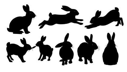 rabbit silhouettes
