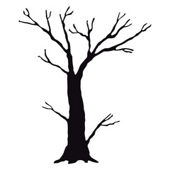 Bare Tree Silhouette Graphic