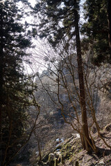 Fototapeta premium 雪山の景色