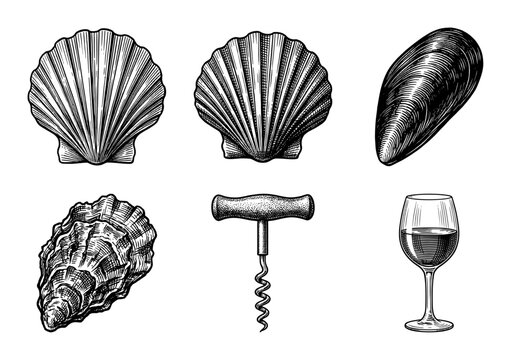 Vintage engraving style collection of seafood shells including scallops, mussels, and oysters with a corkscrew and glass of wine.
