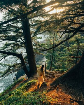 sunset on the oregon coast