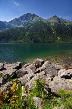View of a serene lake reflecting the majestic mountains under a clear blue sky, framed by rocks and vibrant greenery, Morskie Oko, Wysokie Tatry, Wojewodztwo malopolskie, Poland.